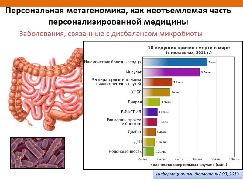 Информационный бюллетень ВОЗ, 2013 Персональная метагеномика, как неотъемлемая часть персонализированной медицины Заболевания, связанные с